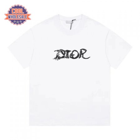 Dior Homme X Peter Doig Oversized Logo T-Shirt White