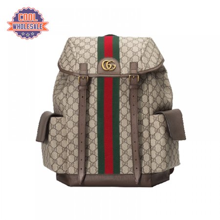 Gucci Ophidia Gg Backpack - GBP107