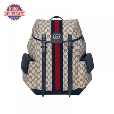 Gucci Ophidia Gg Backpack - GBP109