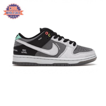 Dunk Low SB 'Camcorder' Men's