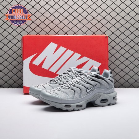 Nike Air Max Plus Wolf Grey 852630-021 Unisex