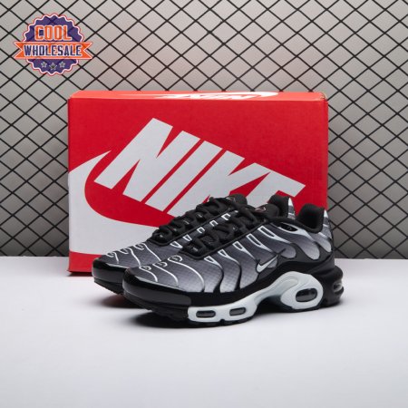 Nike Air Max Plus Black Silver White DM0032-003 Unisex